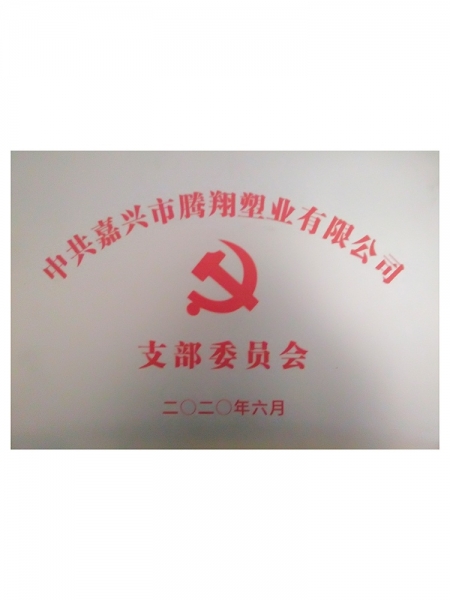 中共支部委员会